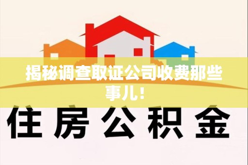 龙南揭秘调查取证公司收费那些事儿！