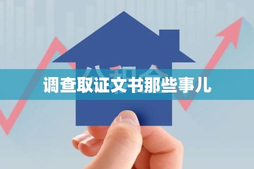 龙南调查取证文书那些事儿
