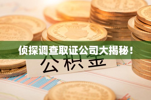 龙南侦探调查取证公司大揭秘！