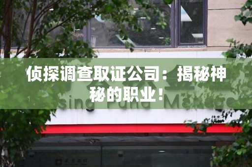 龙南侦探调查取证公司：揭秘神秘的职业！