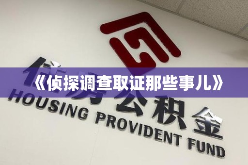 龙南《侦探调查取证那些事儿》