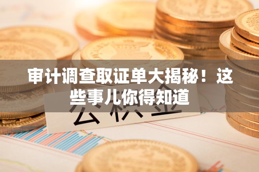 龙南审计调查取证单大揭秘！这些事儿你得知道