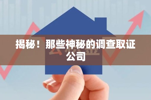 龙南揭秘！那些神秘的调查取证公司
