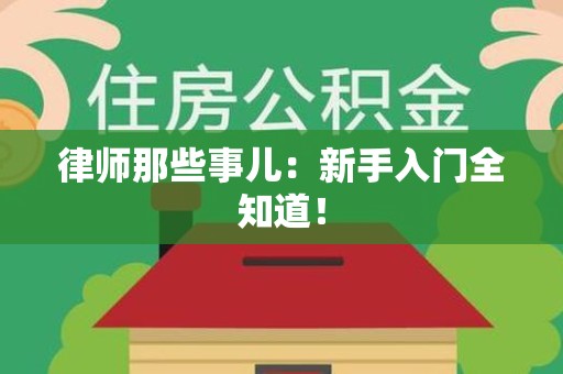 龙南律师那些事儿：新手入门全知道！