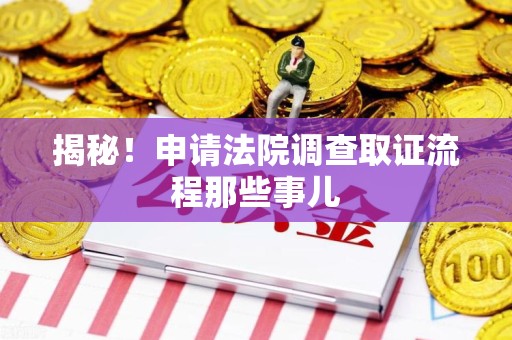 龙南揭秘！申请法院调查取证流程那些事儿