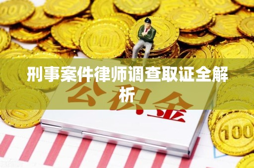 龙南刑事案件律师调查取证全解析