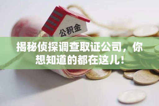 龙南揭秘侦探调查取证公司，你想知道的都在这儿！