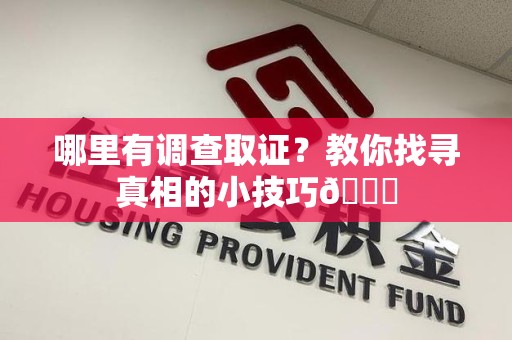 龙南哪里有调查取证？教你找寻真相的小技巧😎