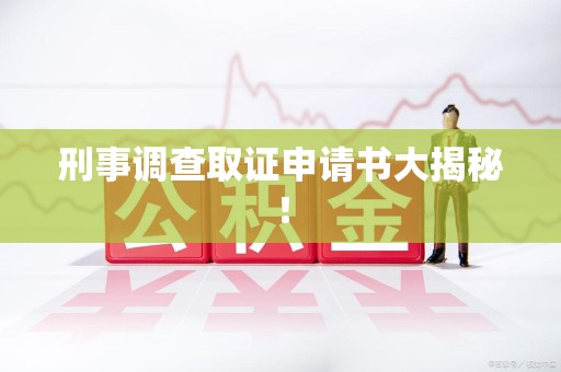 龙南刑事调查取证申请书大揭秘！