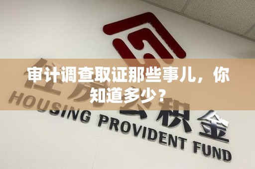 龙南审计调查取证那些事儿，你知道多少？