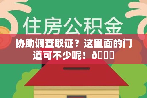 龙南协助调查取证？这里面的门道可不少呢！😎