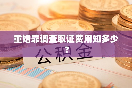 龙南重婚罪调查取证费用知多少？