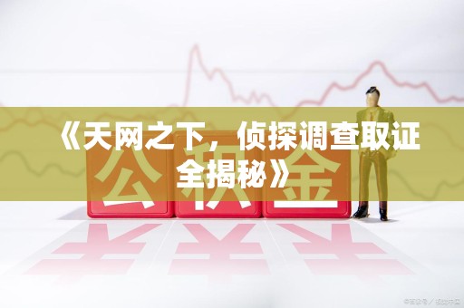 龙南《天网之下，侦探调查取证全揭秘》