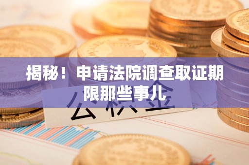 龙南揭秘！申请法院调查取证期限那些事儿