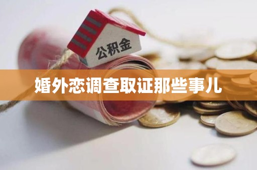 龙南婚外恋调查取证那些事儿
