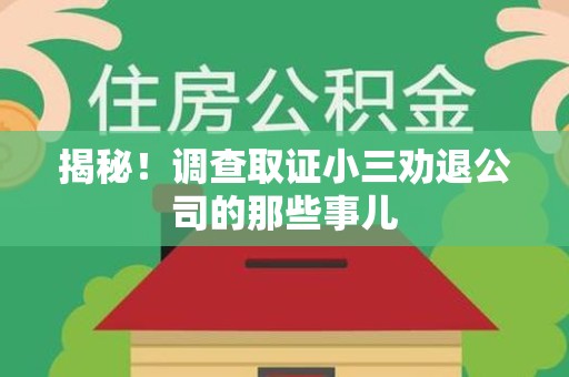 龙南揭秘！调查取证小三劝退公司的那些事儿