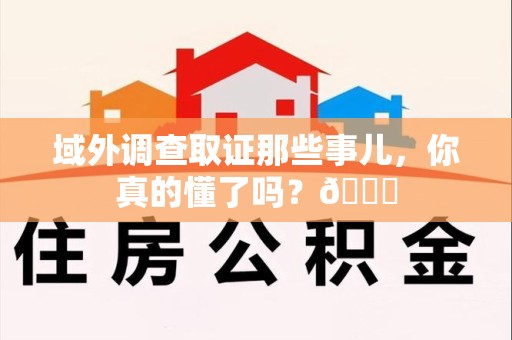 龙南域外调查取证那些事儿，你真的懂了吗？😎