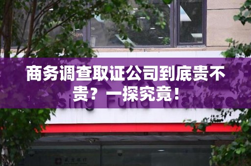 龙南商务调查取证公司到底贵不贵？一探究竟！