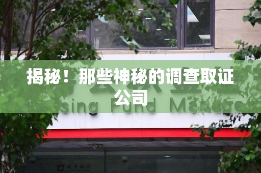 龙南揭秘！那些神秘的调查取证公司