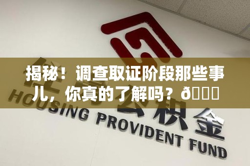 龙南揭秘！调查取证阶段那些事儿，你真的了解吗？😎