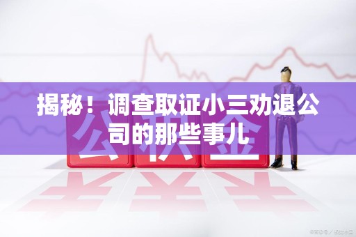 龙南揭秘！调查取证小三劝退公司的那些事儿