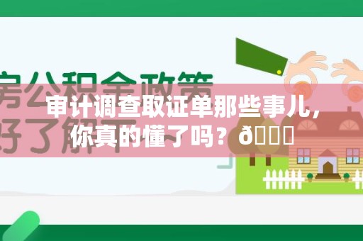 龙南审计调查取证单那些事儿，你真的懂了吗？😎