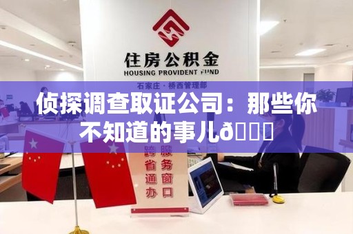 龙南侦探调查取证公司：那些你不知道的事儿😎