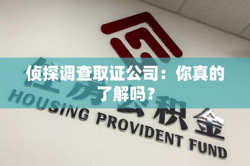 龙南侦探调查取证公司：你真的了解吗？