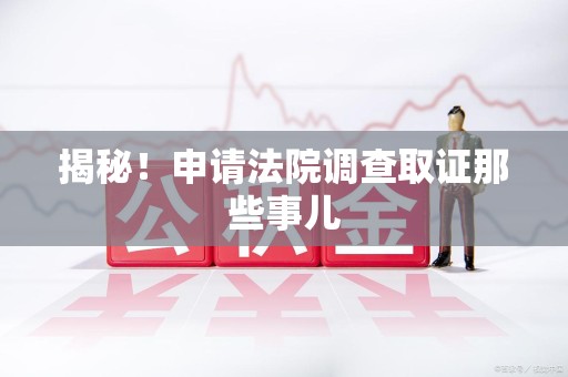 龙南揭秘！申请法院调查取证那些事儿