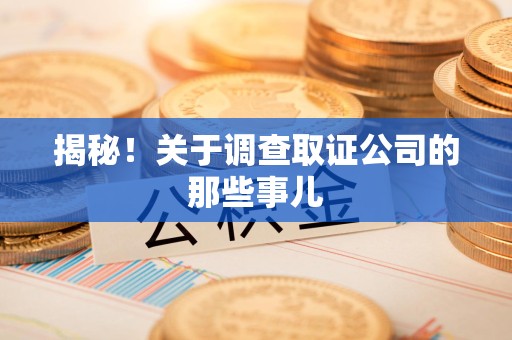 龙南揭秘！关于调查取证公司的那些事儿